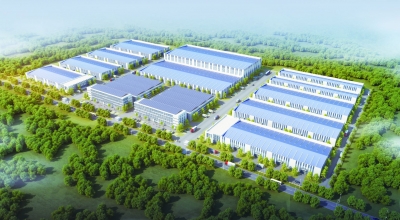 招商引资，看齐河如何做好“配餐” ——整体引进上下游企业，“区中园”打造效益最大化