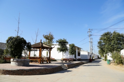 众手绘美景 乡村展新颜 | 武城推动393个村庄创建美丽宜居乡村