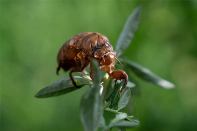 德报说节气 | 今日立秋！云天收夏色，木叶动秋声