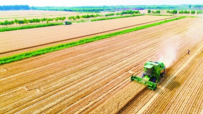 齐河入选！全省16县获省部共同打造乡村振兴齐鲁样板示范县 | 附名单