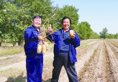 梁希森：涅槃重生的“土豆大王” | 德报践行“四力”一线蹲点采访报道