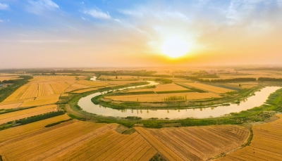 风华德州组诗 | 作者：张建华