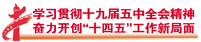 德州市委宣讲团到临邑禹城宁津宣讲五中全会精神：连天线接地气 全会精神深入人心