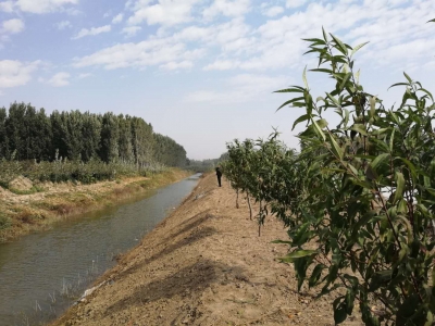 喜讯！禹城2处美丽示范河湖项目通过省级终验