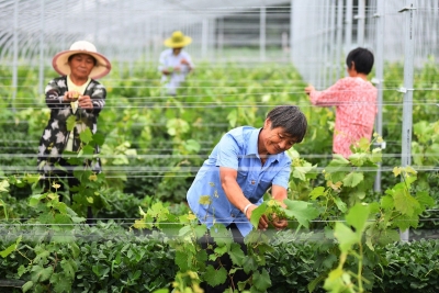 “四级”联动资金助力乡村振兴