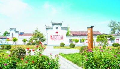 齐河：建强村党支部，打造“红管家”，党建赋能高质量发展