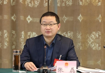 武城县委书记张磊：奋力建设新时代现代化新武城