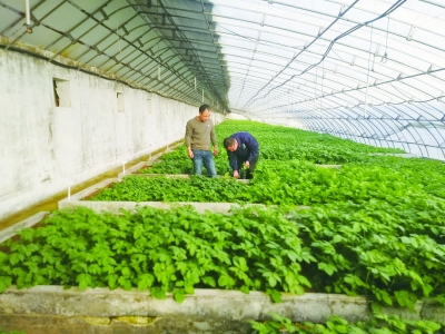 乐陵：高质量发展植入“科技芯”