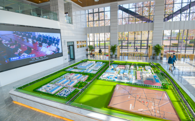 平原县委书记王洪霞：加速打造区域项目人才集聚新高地