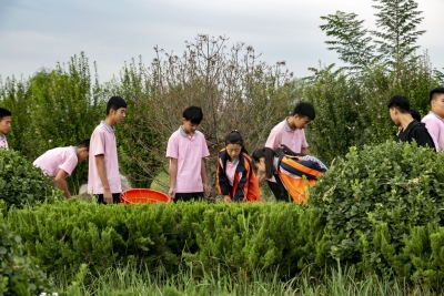 辉煌十三五 奋进新德州 | 武城：三级同创，成功创建国家卫生县城