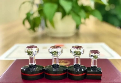 视频 | 德州市行政审批服务局：政务服务转型晒出亮眼“成绩单”