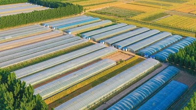 这组海报告诉你，2020德州“三农”工作有多强