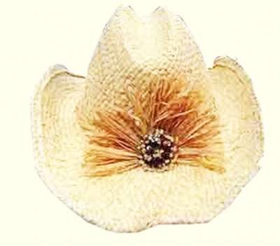 德州记忆 ｜ 300年德州草帽辫