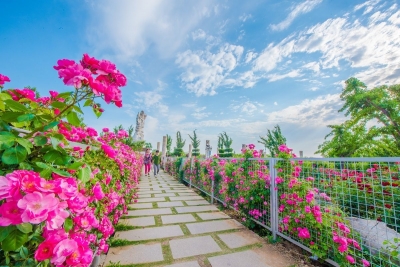 张洪崑 · 组诗 ｜ 母亲的周末