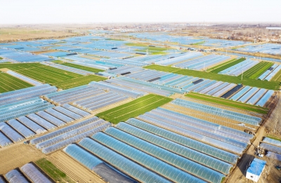 辉煌十三五 奋进新德州 | 夏津：2020年底，全县农业总产值完成52.8亿元，“三品一标”认证数量115个