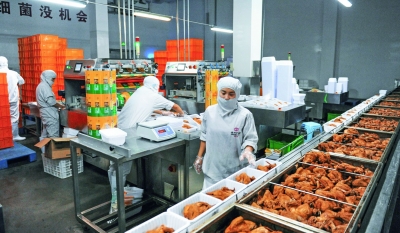 辉煌十三五 奋进新德州 | 经开区：2020年重点监测的49家工业企业实现营业收入259.85亿元