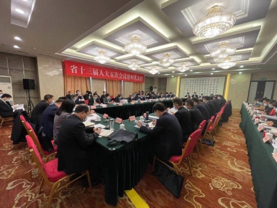 德州代表团审议省政府工作报告  刘强李猛杨洪涛发言 陈勇张志华徐向红郭永军刘冠凤郭晓东周逢民韩建亭参加