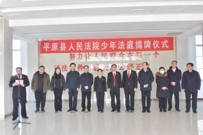 全国首家！平原法院在前曹法庭挂牌少年法庭，探索新形势下少年审判方式