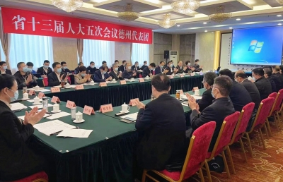 省十三届人大五次会议德州代表团成立 李猛任团长 杨洪涛韩建亭任副团长