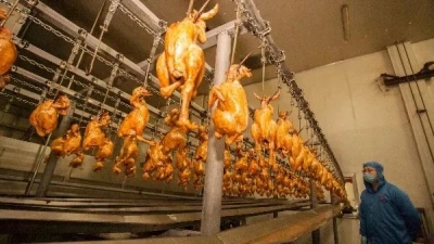 云赏非遗 共度佳节 | 德州举办非遗过大年线上非遗展播活动
