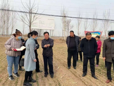 农业专家田间授课|市农科院联合市农业农村局开展春季小麦管理培训