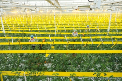 庆云：聚力五大振兴 成就富美乡村