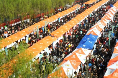 推进更充分更高质量就业！德州计划今年城镇新增就业5.1万人以上