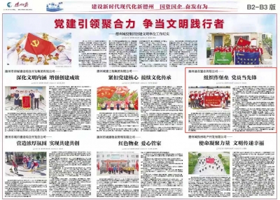 德州晶实置业公司：组织作堡垒 党员当先锋