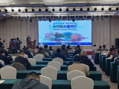 奋斗百年路 启航新征程 | 全国62家晚报社长总编走进德州看乡村振兴