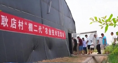 被山东省委书记点赞！看竹泉村如何蝶变成乡村振兴范本