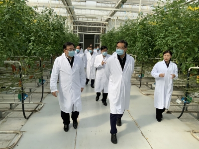 山东省副省长曾赞荣来德州调研 杨洪涛参加