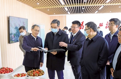 山东副省长曾赞荣到陵城区调研 努力在打造乡村振兴齐鲁样板中率先突破