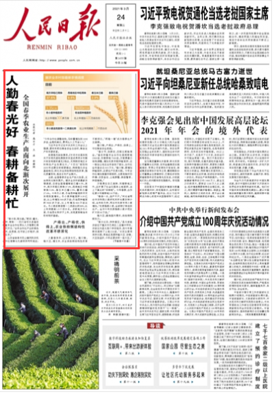 《人民日报》头版头条聚焦德州临邑春耕备耕：春播玉米用足绣花功夫