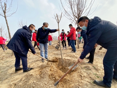 德州各界积极参与植树造林活动，践行绿色发展理念， 共建美丽家园