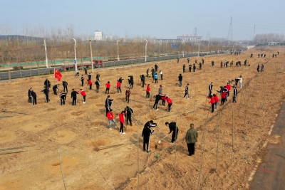 栽下一片新绿 播种新的希望 | 德州日报社开展植树节活动