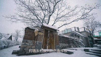 就是它，这才是我们向往的乡村