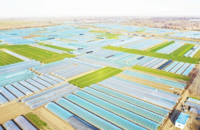 厘清乡村振兴工作清单，以产业振兴为核心 | 夏津：擘画乡村新希望