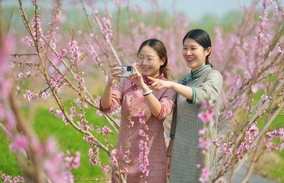 美文 ｜ 孙洪霞：春游琵琶湾