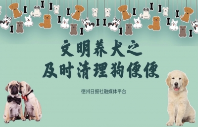 公益动画 | 及时处理狗便，做文明养狗人