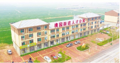 让优秀人才大施所能 | 德州构筑多层次人才体系助推乡村振兴