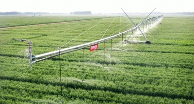 平原入选！山东省乡村振兴政策集成改革试点县（市、区）名单公布 