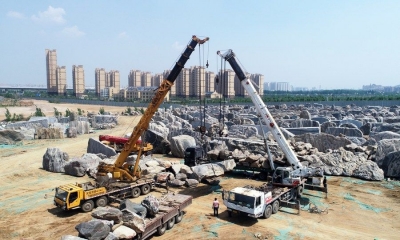 疯狂的泰山石“封了”