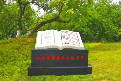 旅发大会精彩活动多，“夏津娃”约你来“打卡”