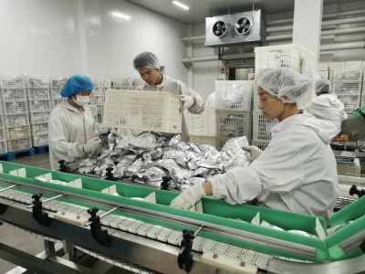  “烩面”顶住 “扒鸡”来了 | 1.5万只德州扒鸡驰援河南