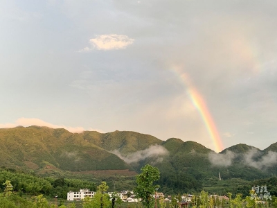 诗 | 韩淑霞：夏日午间