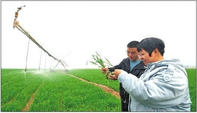 打造乡村振兴齐鲁样板，山东德州率先突破！