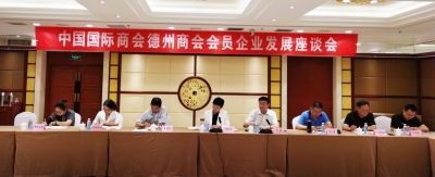 政企合力推动外向型经济高质量发展！中国国际商会德州商会会员企业发展座谈会召开  