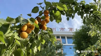 德州一中：文明润心田 幸福满校园