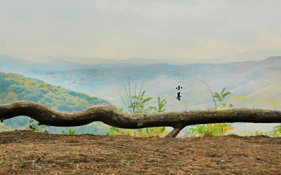 德报说节气 | 今日小暑：薰风愠解引新凉，小暑神清夏日长