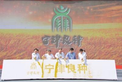 宁津：擦亮“中华麦·宁津种”产业品牌